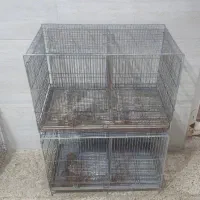 قفس