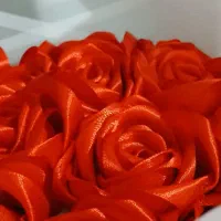 گل روبانی