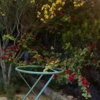 فروش باغچه ۷۰۰ و ۱۴۰۰ متری چهاردیواری ،اسلامشهر|فروش دفتر صنعتی، کشاورزی، تجاری|بهارستان, |دیوار