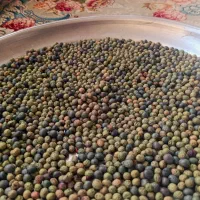 قسقوان