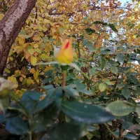 خانه ویلایی 300متر زمین 175متر ساخت|فروش خانه و ویلا|کبودرآهنگ, |دیوار