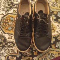 کفش چرم ۴۳