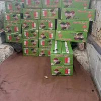 کشمش افتابی مخصوص ابگیری|عمدهفروشی|ششطراز, |دیوار