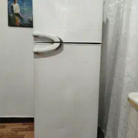 یخچال فریزربادی اسنوا