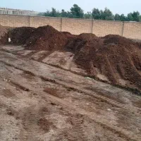 کود حیوانی گاو و گاومیش