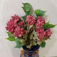 گلهای خارجی