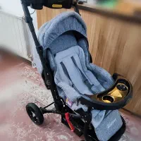 کالسکه دلیجان مدل بنیتا|کالسکه و لوازم جانبی|پرند, فاز ۵|دیوار