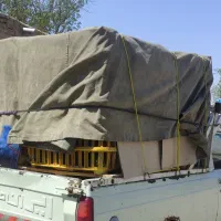 مرغ محلی نیمچه|حیوانات مزرعه|اسکو, |دیوار