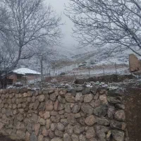 ویلا در اختیار تا بهبود اوضاع جنگ ( رایگان )