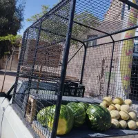 باربند توری مسقف