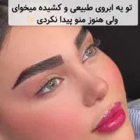 قیمت استثنایی میکرو و فیبروز خط چشم و شیدینگ لب