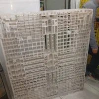 پالت سالم مرتب