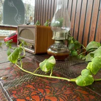 نیروی کار در کافه