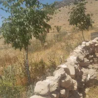 فروش-باغچه-2000متری