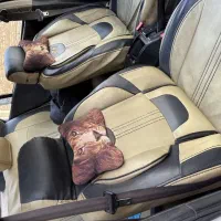 پژو پارس رینگ اسپرت وحشی