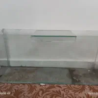 اکواریوم|ماهی|خوی, |دیوار