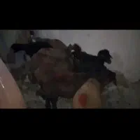 دونی ۴۰میلیون