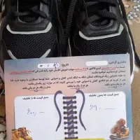 کفش نو نو اسپرت|کفش و لباس بچه|اصفهان, رهنان|دیوار
