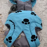 آغوشی نوزادی