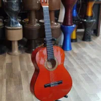 گیتار نو همراه با کیف