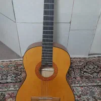 گیتار Matapoor اصلی نو