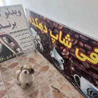 تابلو دو عدد دو رو