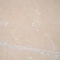 کارخانه دی کلسیم فسفات