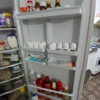 یخچال دوقلو الکترو استیل|یخچال و فریزر|فردیس, شهرک شهید حسینی|دیوار