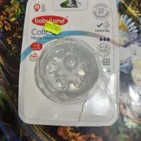سر شیشه