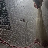 تور ماهیگیری نوع|ماهیگیری|رودسر, |دیوار