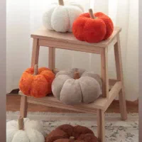 کوسن و دکوری کدو