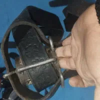 هیکلی علامت کشی گاومیش|کلکسیون اشیاء عتیقه|ری, ملک‌آباد|دیوار