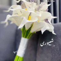 گروه تشریفات ازدواج ربان سفید|خدمات پذیرایی، مراسم|اهواز, نادری|دیوار