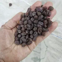 کشمش|خوردنی و آشامیدنی|بهارستان, |دیوار