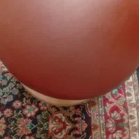 قارچ ژیمناستیک