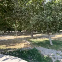 باغ در منطقه خوش آب و هوا باویل|فروش دفتر صنعتی، کشاورزی، تجاری|اسکو, |دیوار