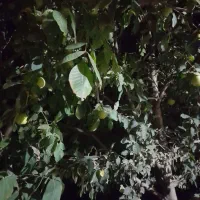 سفر به استان مازندران