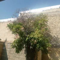 منزل-یک-خوابه