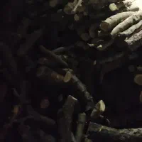 خرید چوب زغال