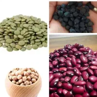 خاکشیر ارزن گندم بادام ماش  جو گوسفندی