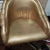 صندلی کوپ چستر .درصدرا|صندلی و نیمکت|شیراز, شهرک بزین|دیوار