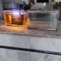 اکواریوم 2 عدد