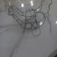 جا تخم مرغی