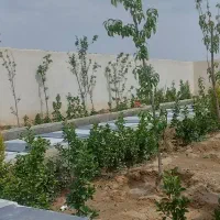 سند تک برگ ۳۰۰ متری|فروش زمین و ملک کلنگی|تهران, استاد معین|دیوار