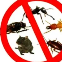 سم پاشی ساس سوسک شبانه روزی حتی روزهای تعطیل