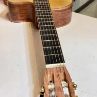 گیتار واشبورن|گیتار، بیس، امپلیفایر|شیراز, محمدیه|دیوار