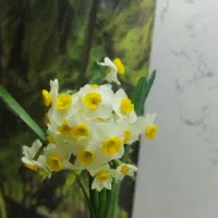 استخدام تکنسین تاسیسات(برق و مکانیک)