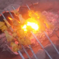 بره نر فروش فوری|حیوانات مزرعه|قائن, |دیوار