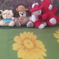 عروسک|اسباب‌بازی بچه|سنندج, |دیوار