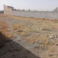 زمین 1000 متری سمت کاهو